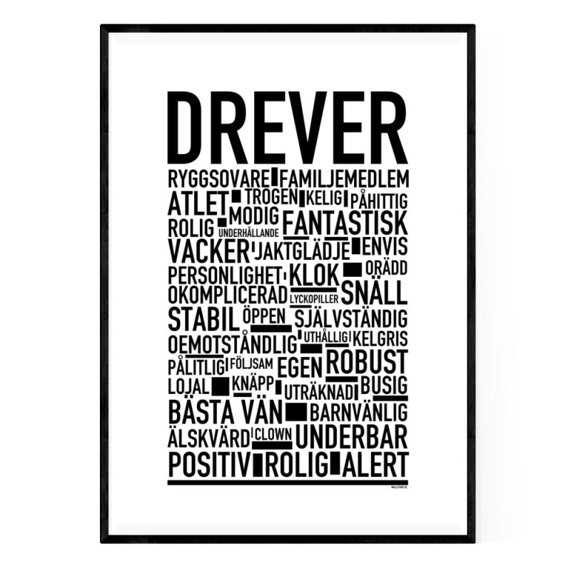 Drever Poster
