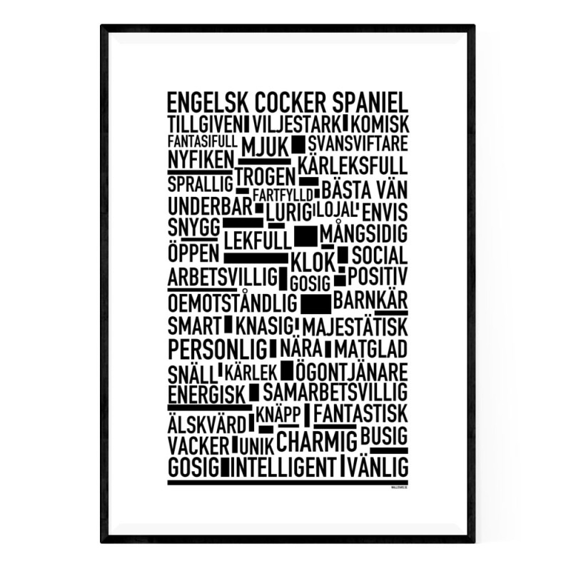 Engelsk Cocker Spaniel