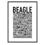 Beagle Poster