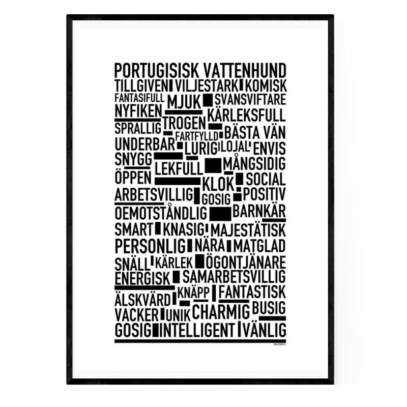 Portugisisk Vattenhund