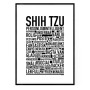 Shih Tzu Poster