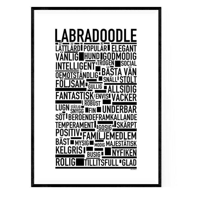 Labradoodle Poster