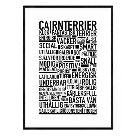 Cairnterrier Poster