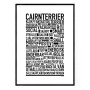 Cairnterrier Poster