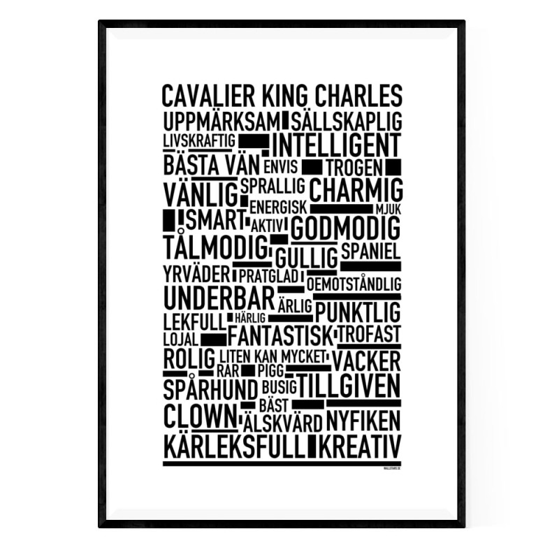 Cavalier King Charles Poster