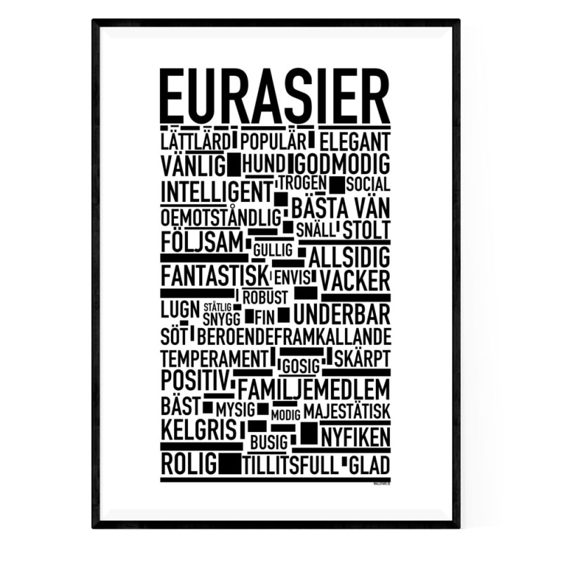 Eurasier Poster