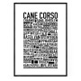 Cane Corso Poster