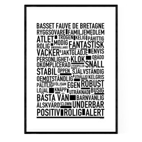 Basset Fauve De Bretagne