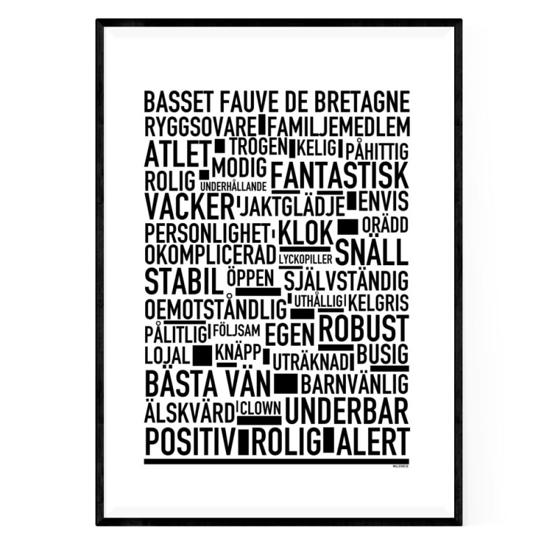 Basset Fauve De Bretagne