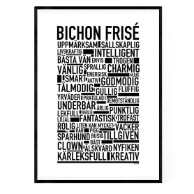 Bichon Frisé Poster