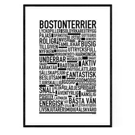 Bostonterrier Poster