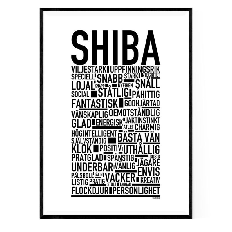 Shiba Poster