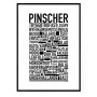 Pinscher Poster