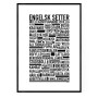 Engelsk Setter Poster
