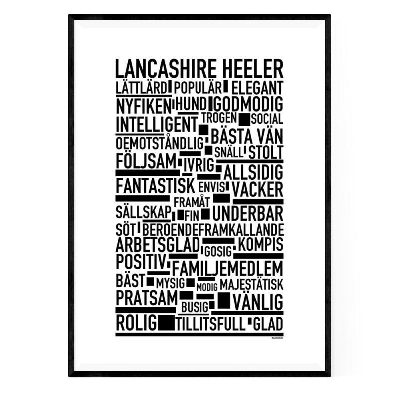 Lancashire Heeler Poster