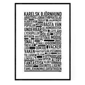 Karelsk Björnhund Poster