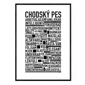 Chodský Pes Poster