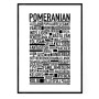 Pomeranian Poster