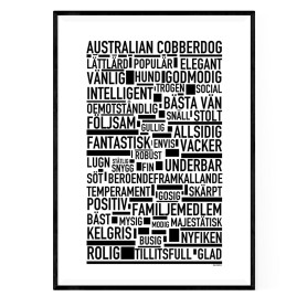 Australian Cobberdog Poster