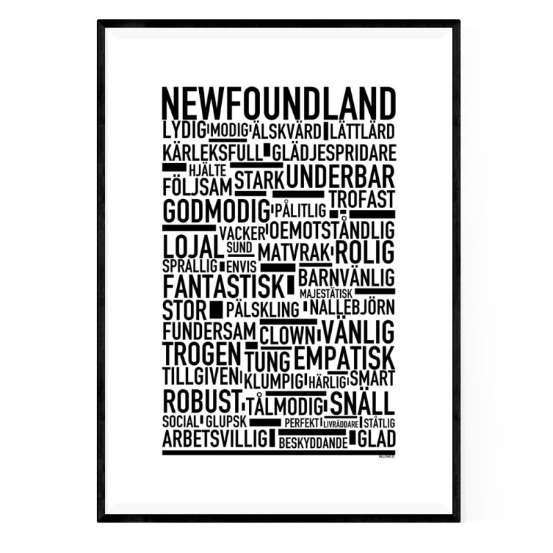 Newfoundland Poster