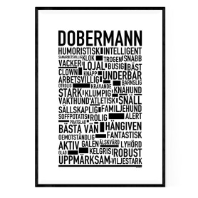 Dobermann Poster