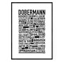 Dobermann Poster