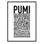 Pumi Poster