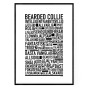 Bearded Collie Poster