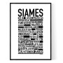 Siames Poster