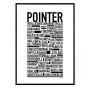 Pointer Poster
