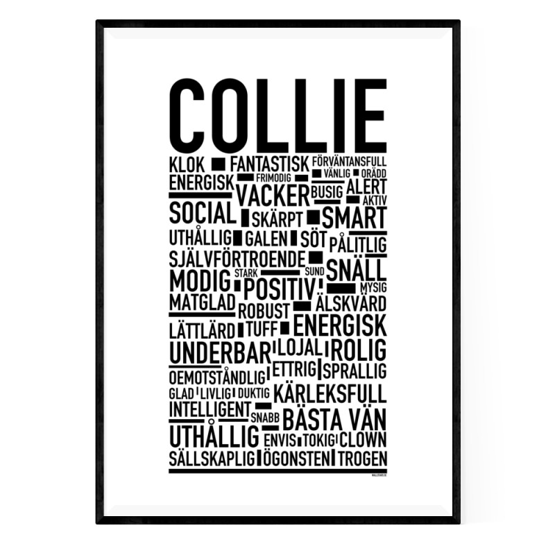 Collie Poster