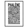 Phalène Poster