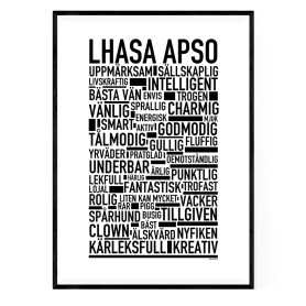 Lhasa Apso Poster