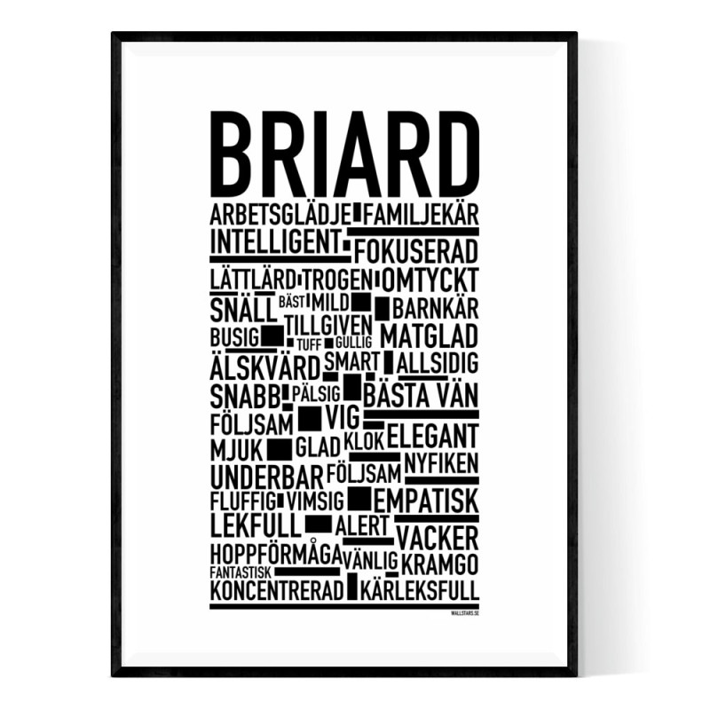 Briard Poster