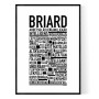Briard Poster