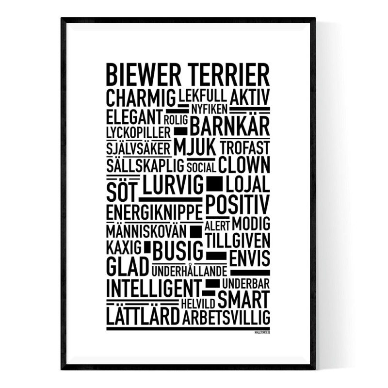 Biewer Terrier Poster