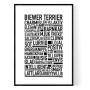 Biewer Terrier Poster