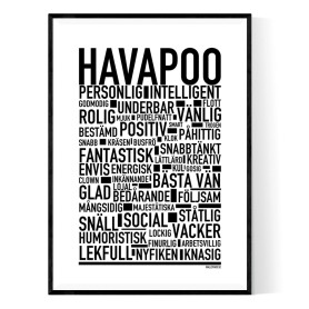 Havapoo Poster