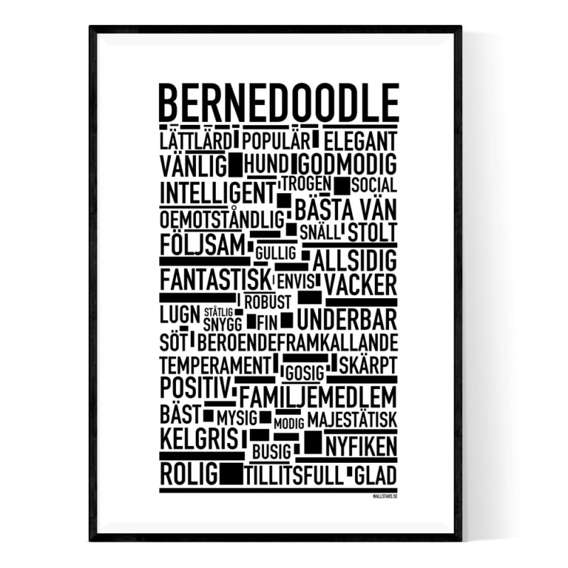 Bernedoodle Poster