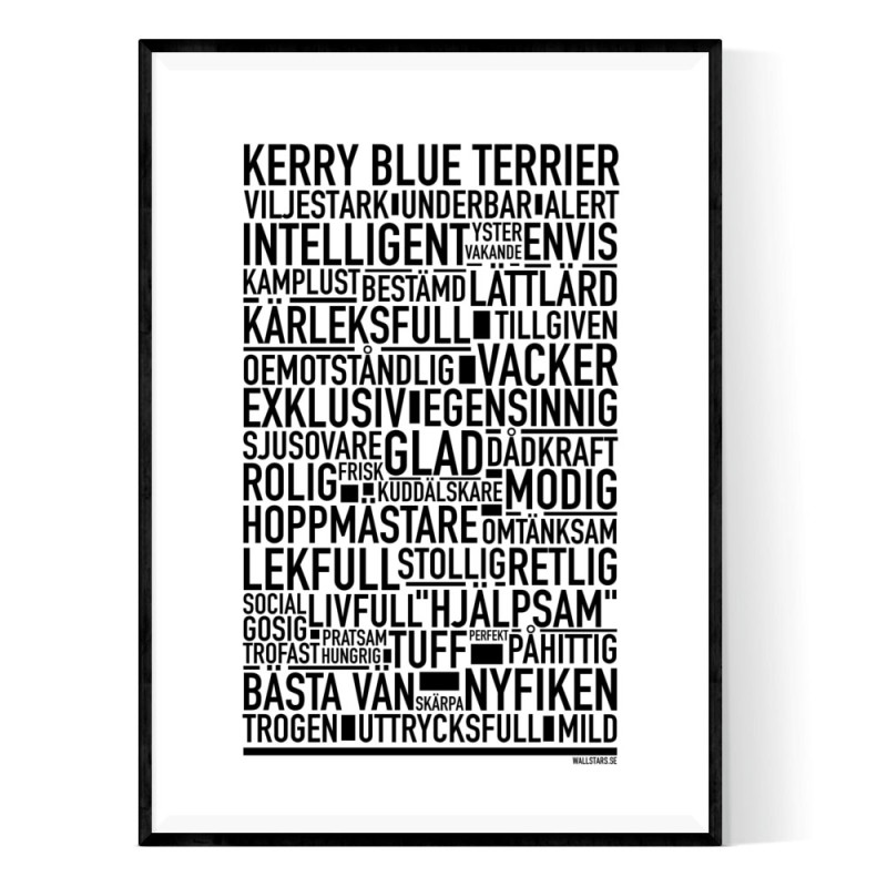 Kerry Blue Terrier Poster
