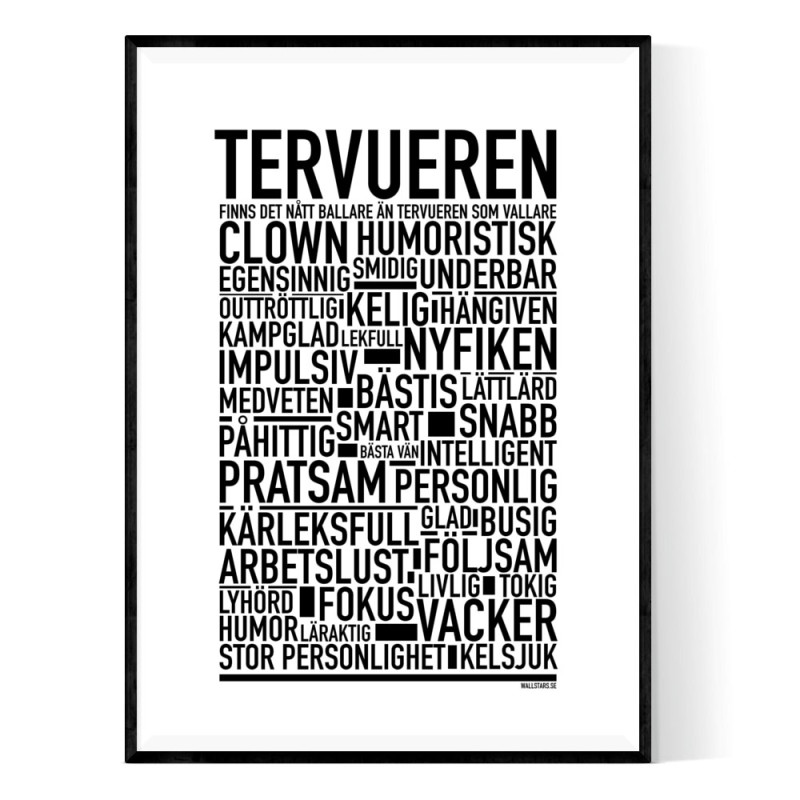 Tervueren 2025 Poster