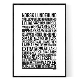 Norsk Lundehund Poster