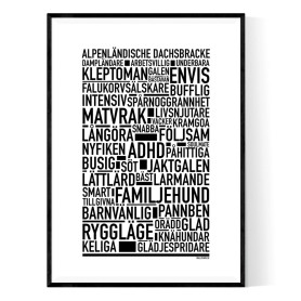 Alpenländische dachsbracke Poster