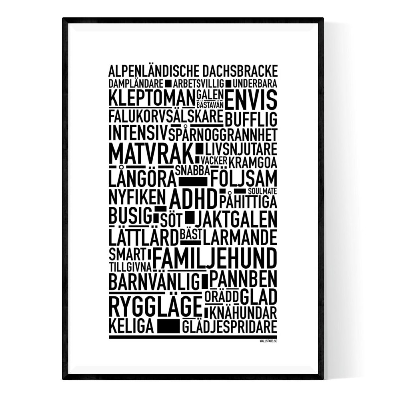 Alpenländische dachsbracke Poster