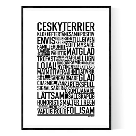 Ceskyterrier Poster