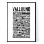 Vallhund Poster