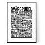 Dvärgpudel Poster