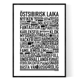 Östsibirisk Laika Poster