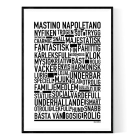 Mastino Napoletano Poster