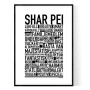 Shar Pei Poster